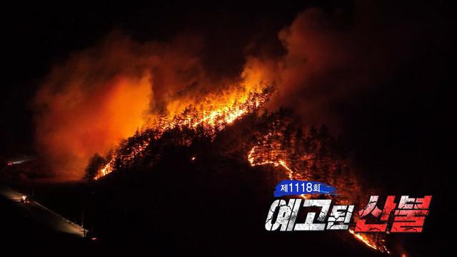 물은 생명이다