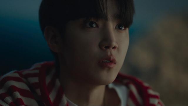 사계의 봄