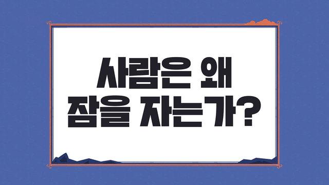 사피엔스 클럽