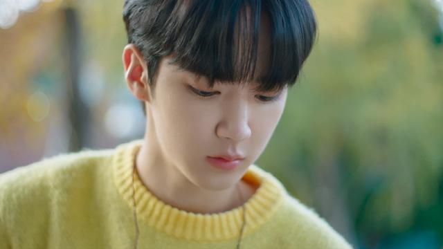 사계의 봄