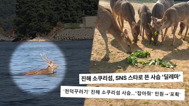 궁금한 이야기 Y