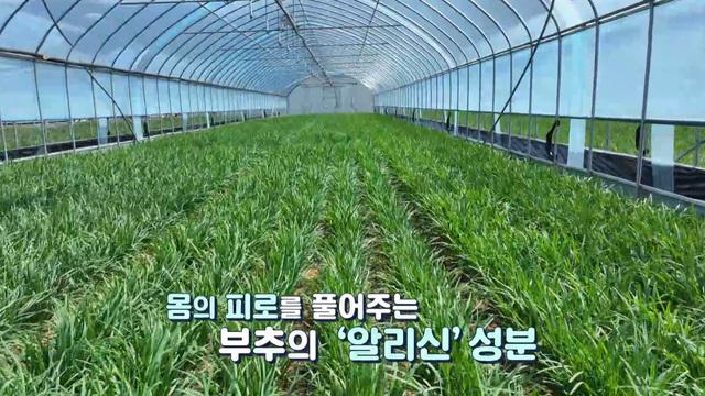 네트워크 현장! 고향이 보인다
