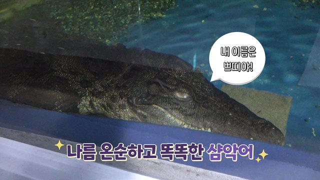꾸러기 탐구생활
