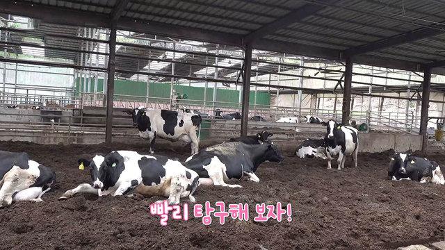 꾸러기 탐구생활