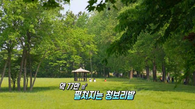 생방송 투데이
