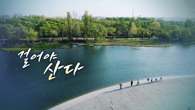 일요 특선 다큐멘터리