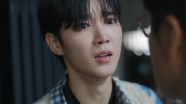 사계의 봄