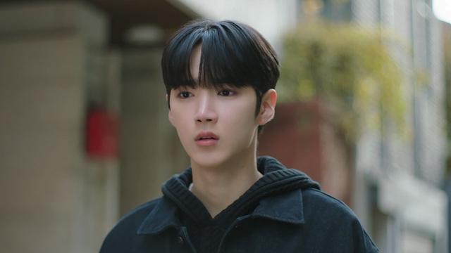 사계의 봄