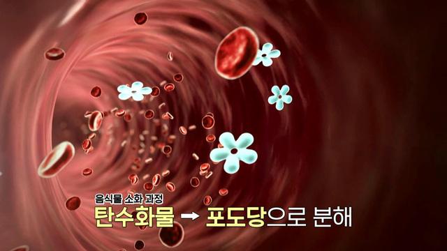 김원희의 원더랜드