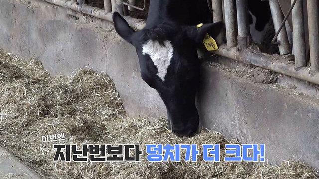 꾸러기 탐구생활