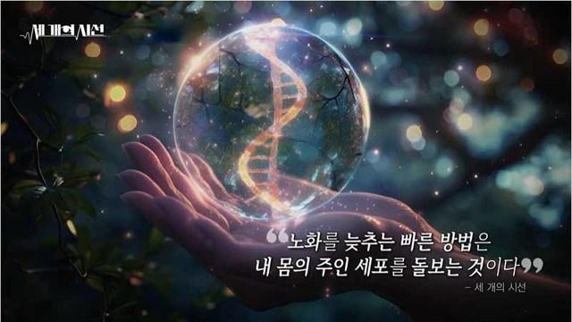 몸속 좀비세포의 정체! 노화 되돌리는 세포의 비밀 - NMN 편 -