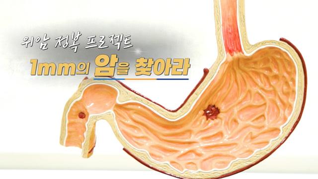 일요 특선 다큐멘터리