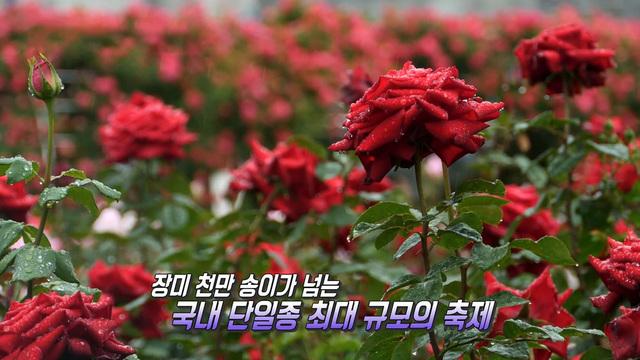 삼척에서 만끽하는 봄날의 풍요로움