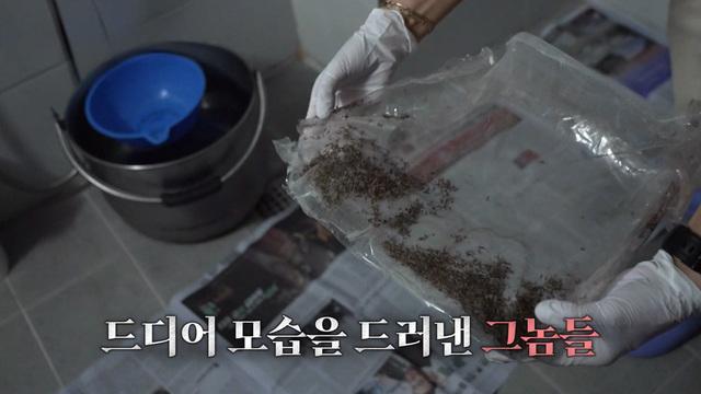 와!진짜? 세상에 이런일이