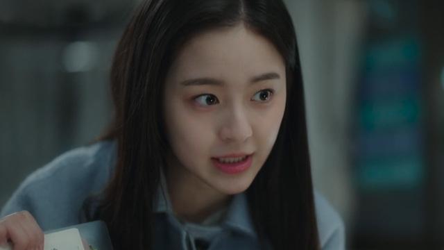 사계의 봄