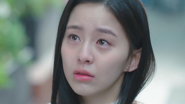 사계의 봄