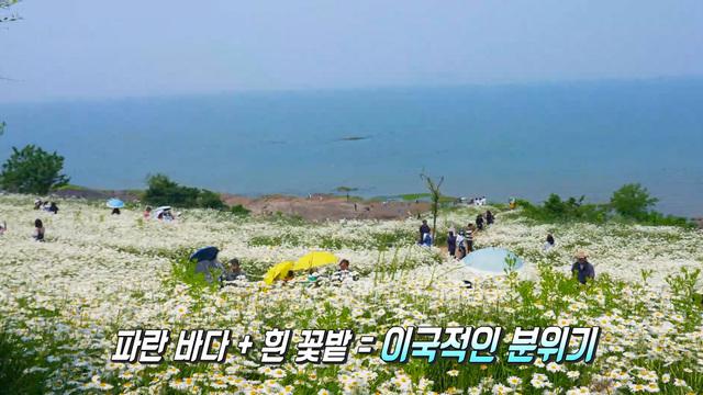 생방송 투데이