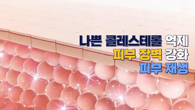 시크릿 코드