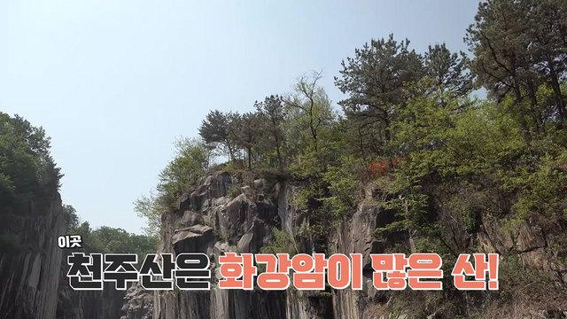 꾸러기 탐구생활