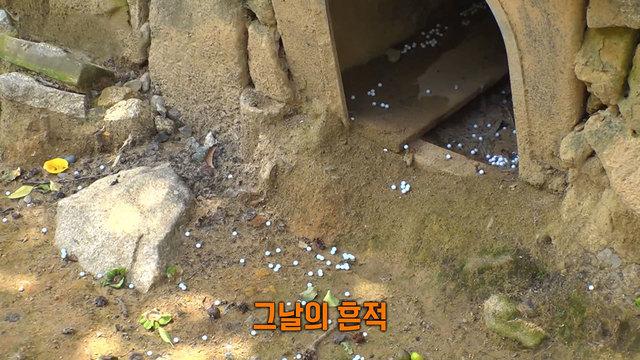 모닝와이드 3부