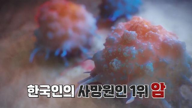 세 개의 시선