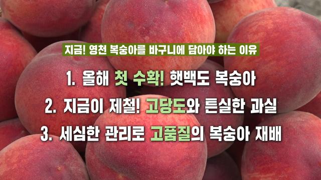 생방송 투데이