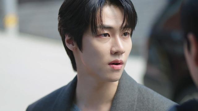 사계의 봄