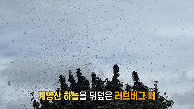 모닝와이드 3부