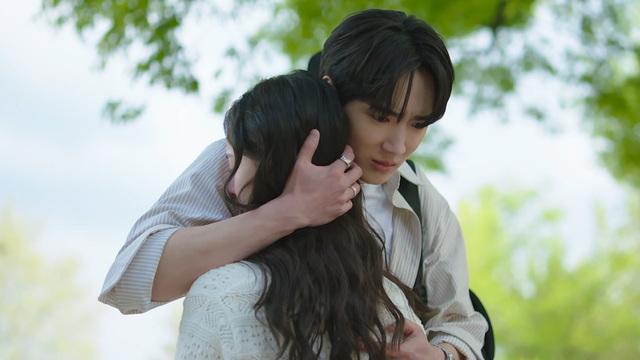 사계의 봄