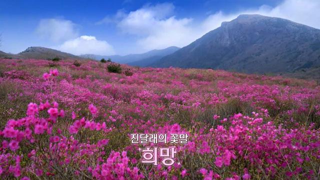 네트워크 현장! 고향이 보인다