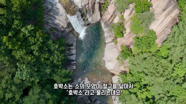 생방송 투데이