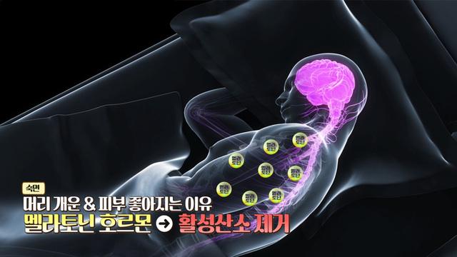 오늘부터 인생 2막