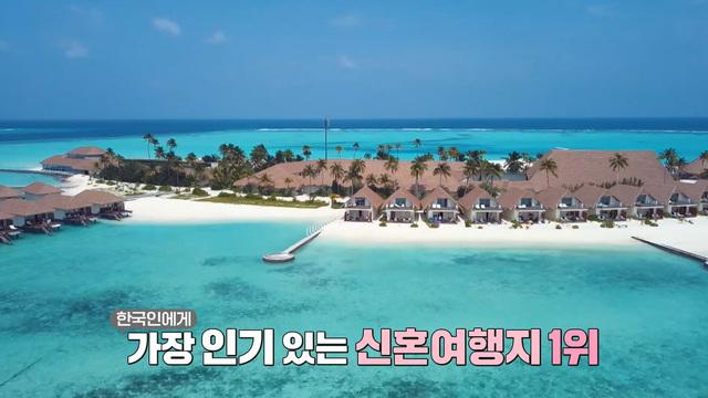 생방송 투데이