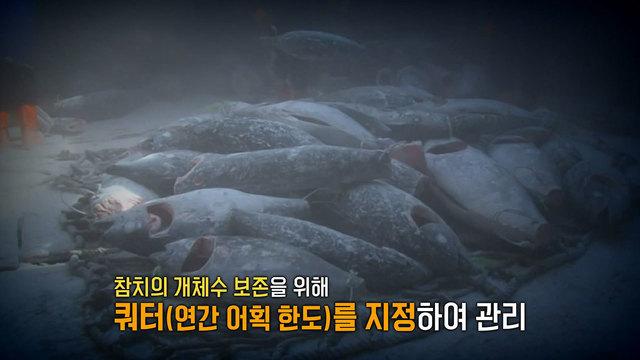 모닝와이드 3부