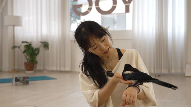 TV 동물농장