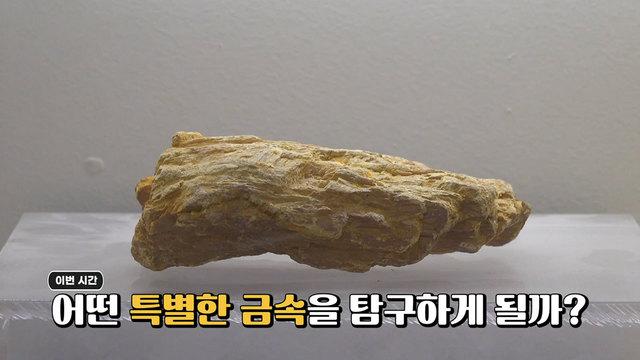 꾸러기 탐구생활