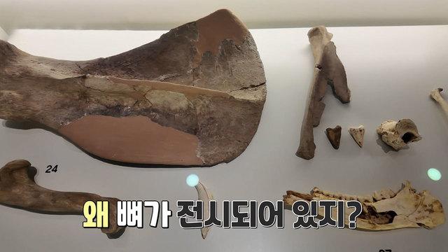 꾸러기 탐구생활
