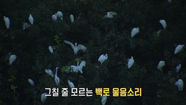 모닝와이드 3부