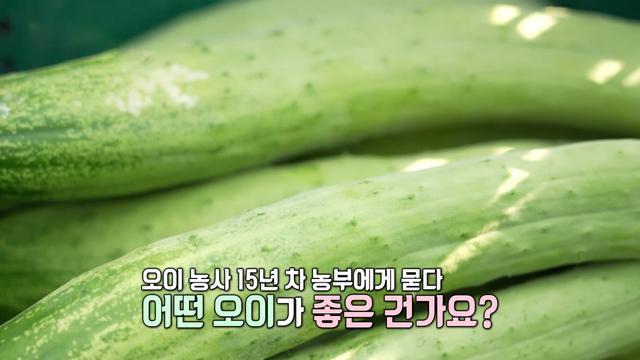 생방송 투데이