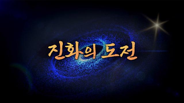 일요 특선 다큐멘터리