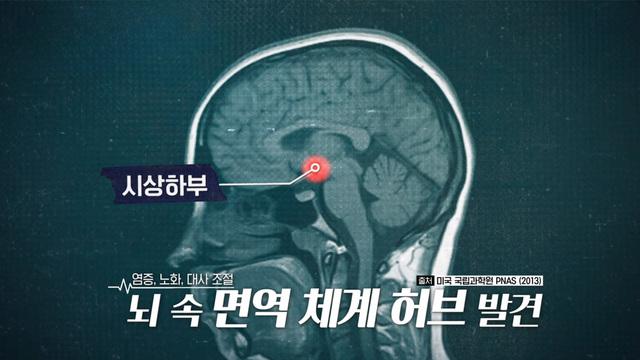세 개의 시선