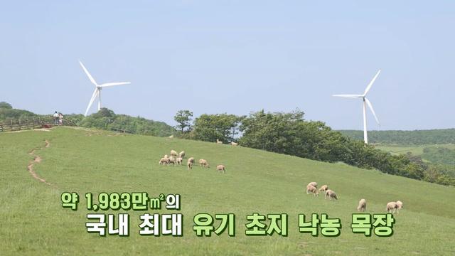 네트워크 현장! 고향이 보인다