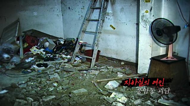 꼬리에 꼬리를 무는 그날 이야기