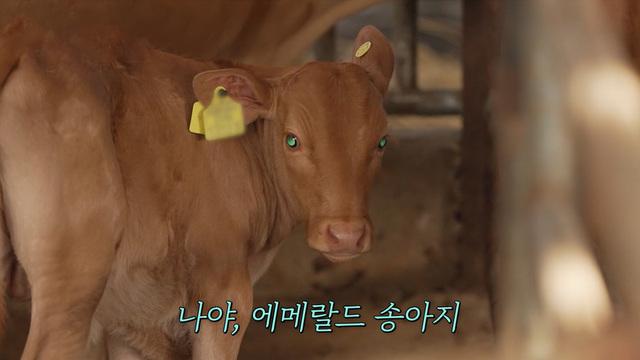 와!진짜? 세상에 이런일이