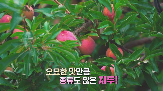 네트워크 현장! 고향이 보인다