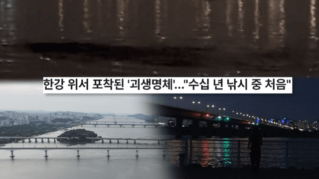 궁금한 이야기 Y