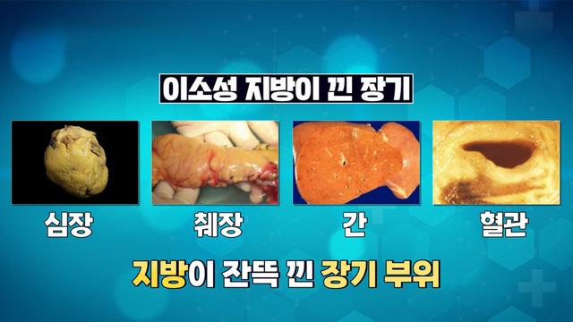 경이로운 도전