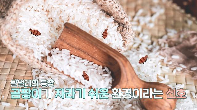 좋은아침