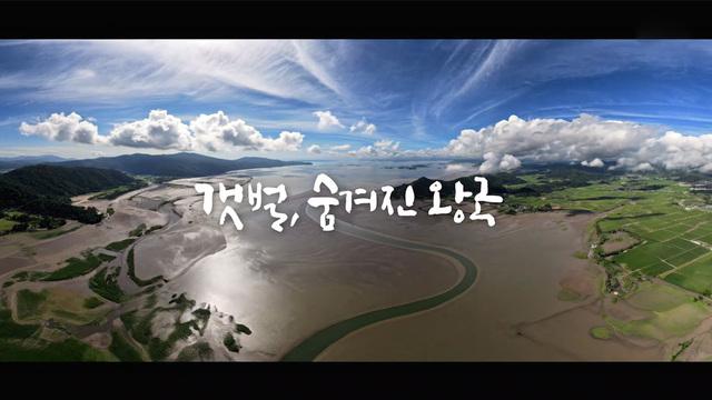 일요 특선 다큐멘터리