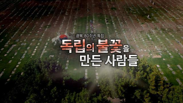 일요 특선 다큐멘터리